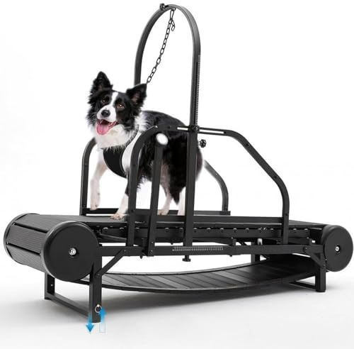 Dog Treadmill, Pet Exerciser, Adjustable Height and Incline, Up To 159KG, Multi-function Pedometer, Brake Assist Handle, Easy To Assemble for Indoor Outdoor Training