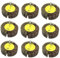 Rodillos de láminas, grano 60X25x6MM 80. La muela es adecuada para limpiar óxido/rebabas de soldadura/productos de madera. Apto para todas las herramientas eléctricas/de torno (9 piezas)
