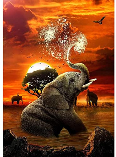 AIRDEA DIY Elefant Diamond Painting Set Erwachsene, Sonnenuntergang Diamant Painting Bilder 5D Tiere Diamant-Kunst Kits für Kinder Diamant Malerei Set Kreuzstich Malen Nach Zahlen Kits 30x40cm