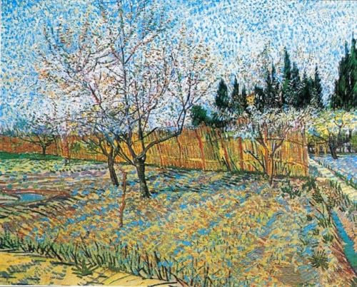 RKFLGEW 14CT Diy Stickset 《Obstgarten Mit Blühenden Pfirsichbäumen》 Gestempeltes Kreuzstichset，Ölgemälde Von Van Gogh，Diy-Stickerei Für Erwachsene，Handarbeitsset Für Anfänger Mit Mustern，Nad 30x40cm