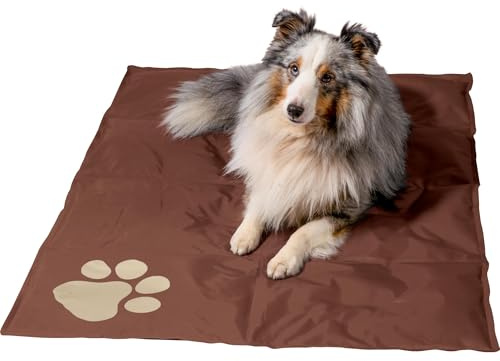 dobar® 60421 Kühlmatte für Hunde - Hundekühlmatte für Hund & Katze - selbstkühlende Matte für Haustiere - Hundedecke mit Kaltgel-Füllung - Kühldecke - 99,5 x 70 cm - Braun