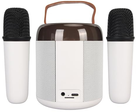 Tragbares Karaoke System, RGB Bluetooth Lautsprecher mit 2 Kabellosen Mikrofonen, unterstützt 512G Speicher, ideal für Familienfeiern und Party