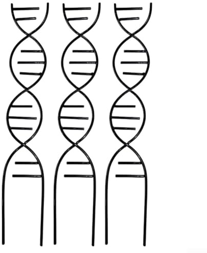 DNA Cadre de support pour plantes en fer pour plantes en pot, y compris le lierre pothos et la patate douce pour l'intérieur et l'extérieur (Noir)