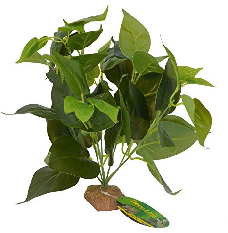Lucky Reptile 64633 Golden Pothos su Base in Pietra, 0,136 kg