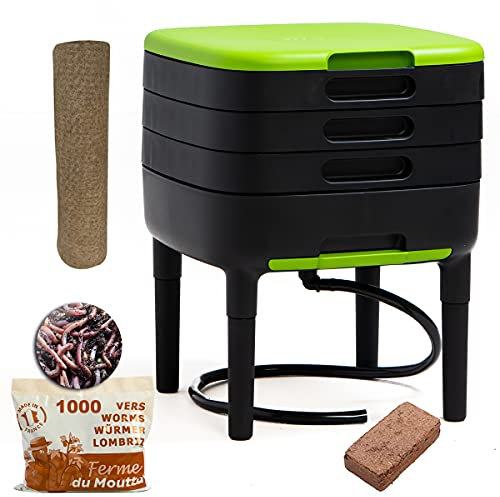 WormBox TinyWorm Design & Compact I Vermicompostaggio 3 vassoi I 500gr di Vermi Lombrichi / 1000 pz. I Kit Completo I Cassetto Scorrevole I Piedi plastica