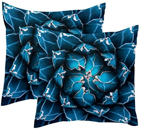 Agave Kaktus-Kissenbezüge, weicher Samt-Kissenbezug, modern, dekorativ, doppelseitig, 50 x 50 cm (Kissen nicht im Lieferumfang enthalten), 2 Stück