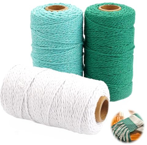 3 Pezzi Filo Macrame, 2mm x 100m Macrame Colorato, Corda Cotone Macrame Corda, Cordino Swan Cordoncino per Borse a Uncinetto per Lavori di Bricolage, Decorazione di Tessitura, Appendi Pianta
