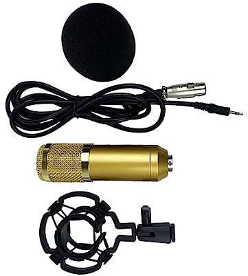 VICASKY Bm-800 Kondensatormikrofon Gold mit Doppellagigem Mesh | Kunststoffgehäuse, Modell Bm-800, Erhöhte Korrosionsbeständigkeit, Hohe Sturzfestigkeit