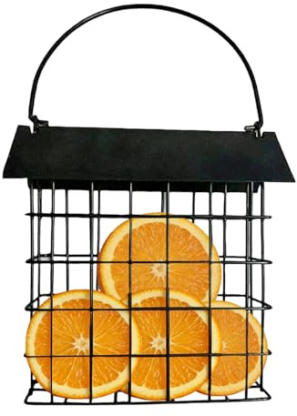 Alimentadores de Aves Resistente a Ardillas | Metal Resistente A La Ardilla Resistente A La Resistencia A La Observación De Aves,Alimentadores De Invierno Para Aves - Observación Alimentación Pájaros