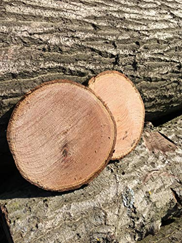 KJR Holzmanufaktur 10 Baumscheiben, Holzscheiben,Baumscheibe, ca. 20-25 cm, Astscheiben, Roteiche, Eiche