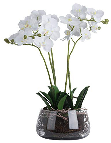 The Recipe White Orchid In Glass Pot, 19957