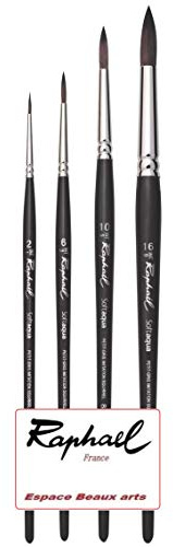 Pinceau Raphael SOFTAQUA.SÉRIE 845 Vegans. NO° 2. 6 .10. 16 Set 4PCS (Raphael France)