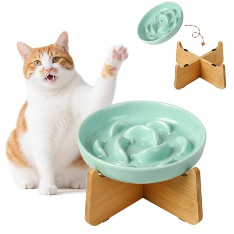 Elevated Slow Feeder Cat Bowl - Ceramic Cat Food Dish with Anti-Slip Bamboo Stand - Whisker Friendly Feeding Bowl - Raised Maze Plate for Slow Down Eating - Mint Green