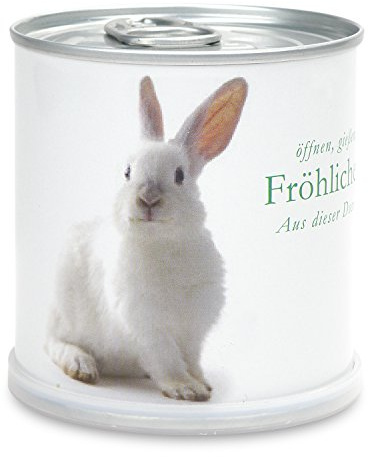 MacFlowers® Ostergrüße - Osterhase mit Vergissmeinnicht in Dose, 1 Stück, 8 cm x 7.5 cm, Pflanze, Blau, Osterthema, Geschenk zu Ostern