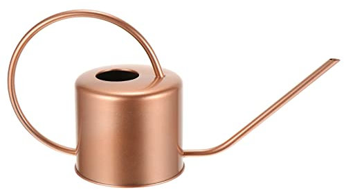 Gartengießkanne – Gießkanne Edelstahl-Wasserkrug for Kinder, Hydroflask-Wasserflasche, Outdoor-Gießkanne, Schwanenhals-Gießkanne, Blechgießkanne, antike Gießkanne, prägnanter Gießkessel for Kinder