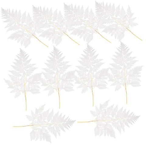 Warmhm Dekobündel Getrockneter Pflanzen Farne Für Zuhause DIY Blumenarrangement Dekor Pflanzenschmuck Natürliche Getrocknete Pflanze Zum Basteln