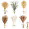 Qcdou Pampas Sechees Decoration, 120 Pièces Fleurs Sechees Naturelles, Ficelle de Jute DIY de 10 m, Cordon de Jute Marron Naturel, Fleurs Séchées en Queue de Lapin/Eucalyptus Séchés Naturellement-B