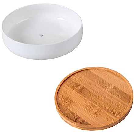 Sosoport Maceta de Cerámica para Suculentas con Platillo, Maceteros Grande Decorativos Interior, Redonda, Ligera y Resistente para Oficina y Mesa