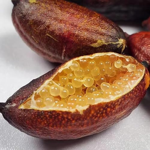semi di finger lime - Finger Lime decorazione, regali sostenibili da dito, fresca, decorazione soggiorno appartamento, 30pcs