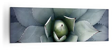 Panorama Bilder auf Leinwand 160x50cm Leinwandbild Blau Blätter Agave Groß XXL Wanddeko Bild Schlafzimmer Küche Wandbilder Dekoration Wohnzimmer Wall Decor Canvas Wand Kunstdruck Art AB160x50-5133