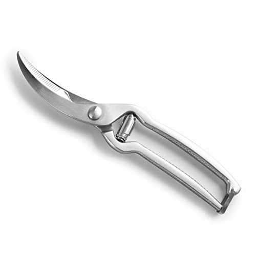 Lacor - 60066 - Ciseaux à oiseaux en acier inoxydable forgé, finition mate, feuilles micro-dentées, fermeture de sécurité, ambidextre, 25 cm, gris