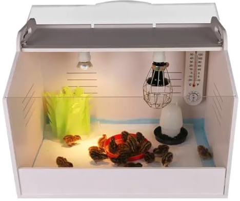 UniEgg Pain complet (S) pour poussins/reptiles - Petit 48 cm x 30 cm x 32 cm (L x l x H) - Cage d'élevage - Incubateur - Accessoires inclus lampes chauffantes, variateur, abreuvoir, bol