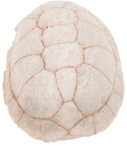 BESPORTBLE Abri pour Tortue Nid De Cachette pour Reptiles Résine Plateforme De Décoration Aquarium