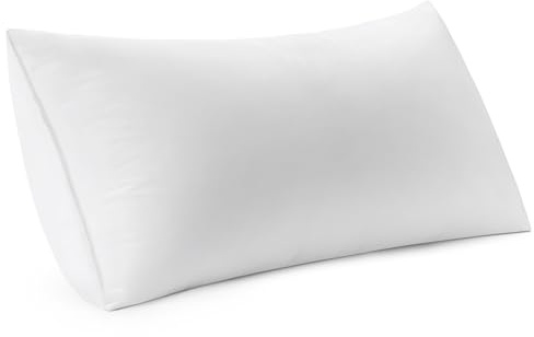 MIULEE 12x24 Inch Premium Lumbar Throw Pillow for Bed Sofa Couch Virgin Microfiber with 100% Cotton Cover Decorative Throw Pillow Insert Stuffer Form