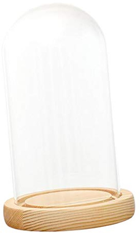B Blesiya Protection Écran Dôme Cloche en Verre avec Support Microlandscape Naturel Socle en Bois - F 12x20cm