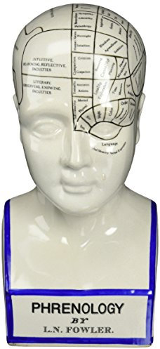 Design Toscano Porcelain Phrenology Head Fortune Telling Statue, 30.5 cm, Porcelain, White