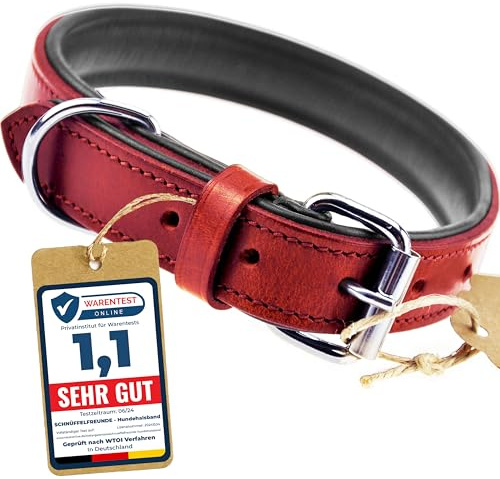Schnüffelfreunde Hundhalsband av Läder I Hundkrage - Läderhalsband för Hundar - Hund Läderkrage (M - 28-36cm, Röd)