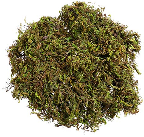 Fake Moss for Crafts: Artificial Moss Decorative Preserved Green Filler for Indoor Plant Pots, Wreath Making, Terrarium, Fairy Garden, Diorama, Floral Arrangement, 60g