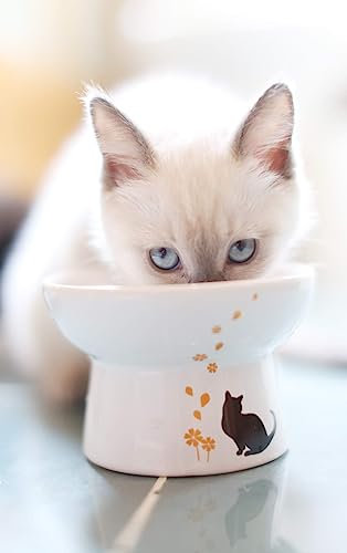 Minibees Raised Cat Bowl, Cat Food Bowl, Premium Elevated Cat Bowl, Porcelain Cats Feeding Bowl, Pet Supplies, Backflow Prevention, Stress Free, Small to Medium, Safety Choice for Your pet
