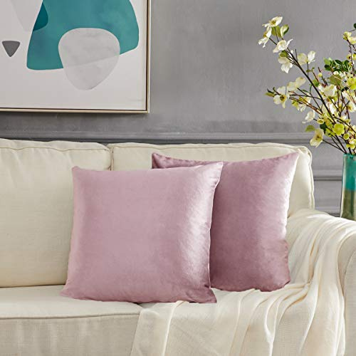 GIGIZAZA Cojín Terciopelo Funda de Cojine 60x60 cm Funda de Almohada del Sofá Cojín Decoración Almohada Caso de la Cubierta Decorativo 2 Paquetes Sonrojo Rosado