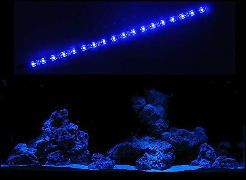 creative lights - Licht & Design AQUARIUM MONDLICHT 30 CM LED LICHTLEISTE + DIMMER KOMPLETTSET INKL. NETZTEIL FLEXI-SLIM BLAU