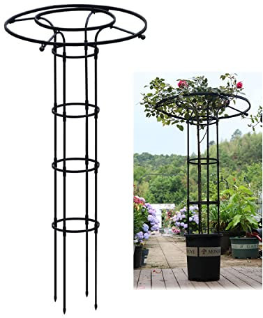 RADAAB Obélisque de Jardin Porte - Plantes d'escalade en Plein air 90cm 120cm 150cm 180cm 210cm | Porte - Raisins de Jardin ombrelle Robuste, Tomate, Pois | Cage de Soutien Floral (Size : 120cm/4ft)