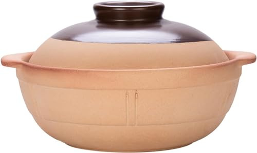 Olla de barro,Ollas de barro for cocinar,Olla de cocina de gres for cocina, cazuela de sopa de sopera con tapa,Olla de sopa/arcilla/barro china con doble asa(750ml)