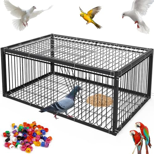 MOGOULUA Jaula para palomas, 60 cm, para recoger codornices (negro)