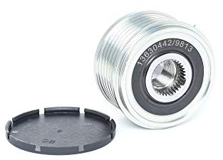 RIDEX Generatorfreilauf Riemenscheibe Lichtmaschine Ø57,5mm 77362558 30667687 LR002899 Kompatibel mit FORD MONDEO IV Turnier BA7 S-MAX WA6 GALAXY WA6 MONDEO IV BA7 MONDEO IV Stufenheck BA7, FIAT