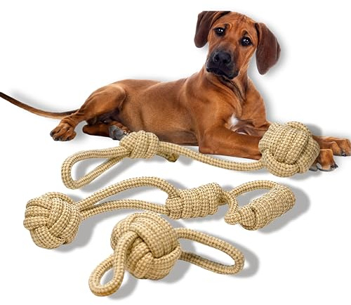 Voyager - Hemp Dog Toys, Made from Hemp Fibre & Organic Cotton, Gentle on Teeth & Gums - Sustainable, Natural, & Non-Toxic Materials, Suitable for all Breeds - Set of 3