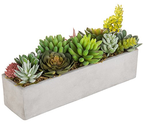 MyGift Faux Succulent Plant Arrangement in 12-Inch Gray Cement Pot