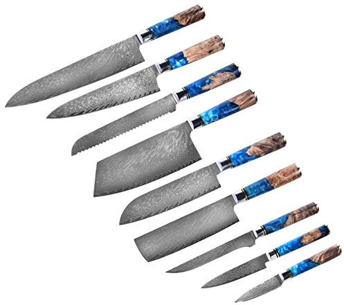 ECLAYA Cuchillos de cocina-Set Damasco Steel 67 capas VG10 CHEF CHEF CUCHILLO AZUL RESOLA Y COLOR HANDER HANGE COCCIÓN (Color : 9 piece set)