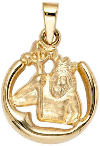 Anhänger Sternzeichen Wassermann 375 Gold Gelbgold teilmatt Horoskop