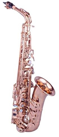 Altsaxophon für Anfänger und Profis