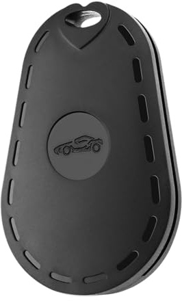 Strumento di riparazione per tergicristallo posteriore 'auto, strumento di riparazione portatile per conducenti adulti, rimuove fango, acqua, macchie, polvere, pioggia, escrementi di