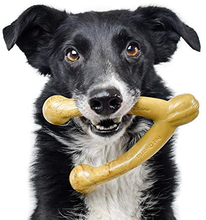 Pet Qwerks Wishbone BarkBone - Nylon Chew Toy for Aggressive Chewers - Peanut Butter Flavor - 6.75