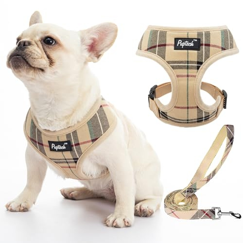 PUPTECK Soft Mesh Dog Harness and Leash Set Pet Puppy Cat Comfort Padded Vest No Pull Harnesses, Beige, L