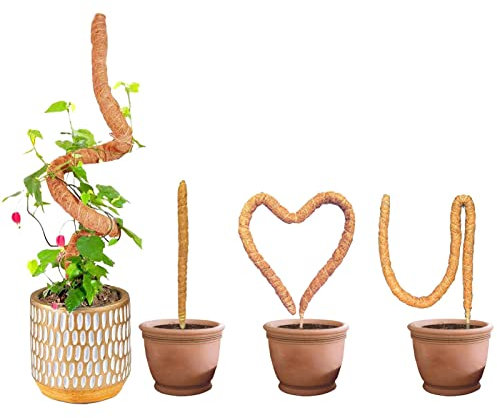 4 Pz Supporto Piante Di Di Coco,Tutor Di Coco,Bastone Di Cocco Tutor Pianta,Tutor Di Coco,Tutor Di Fibra Di Cocco Per Piante Rampicante Estendabile,Estensione Di Supporto Pianta Rampicante