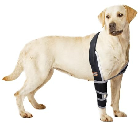 TIPOOP Hund Ellenbogenschutz Ellenbogen Dysplasie Bandage Hygroma Pads Schulterbandage Unterstützung Schutz für Vorderbeine Schwielen Hund Ellenbogenschützer für Arthritis Ellenbogenschutz L-rechtes