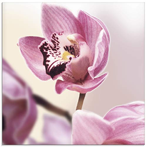 ARTland Wanddeko Glasbilder Wandbild Glas Bild einteilig Quadratisch Natur Asien Blumen Blüten Orchideen Landhaus T5EI